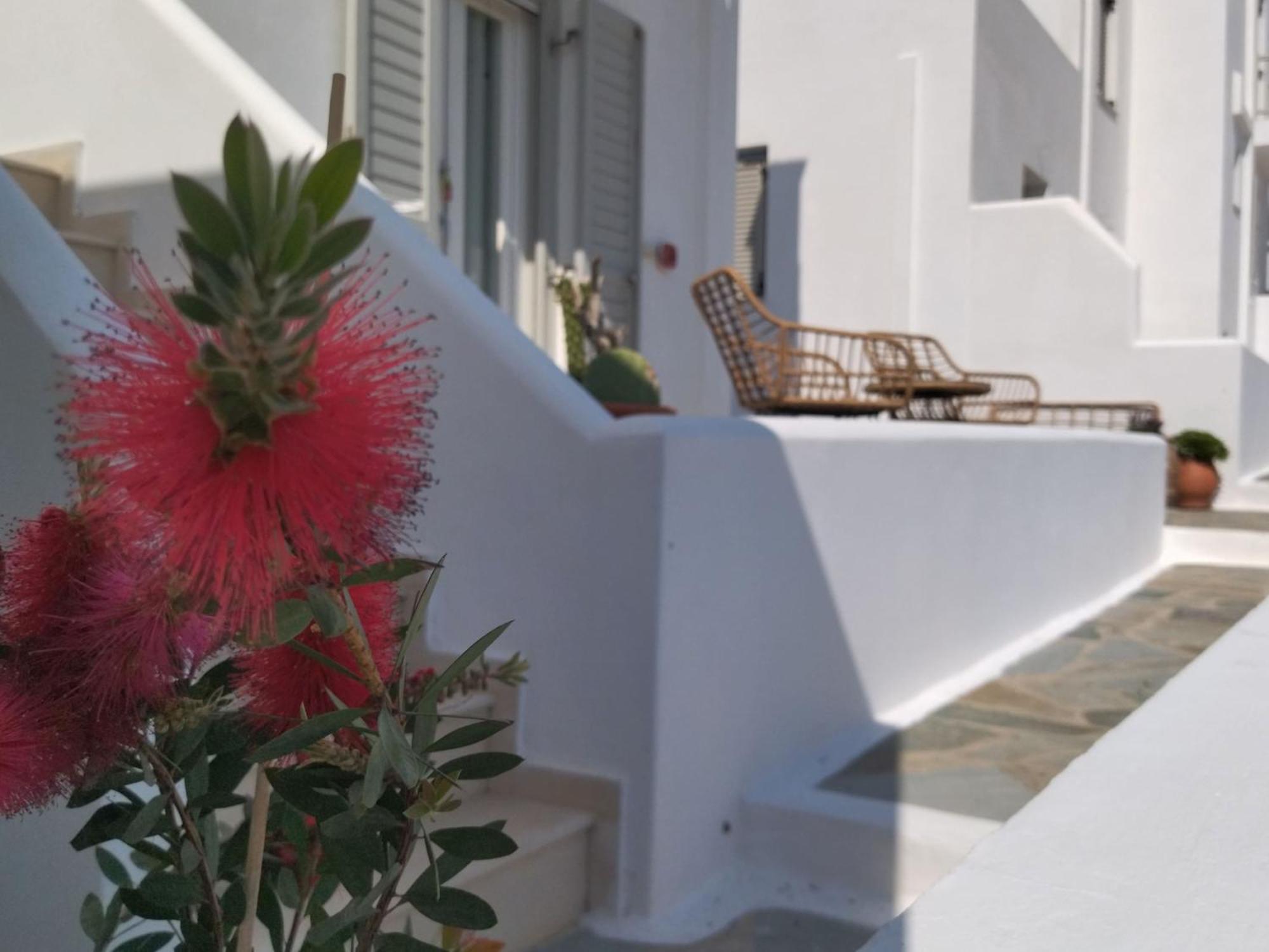 Gaia Serifos Apartments Rámos Værelse billede